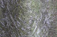 Pembrey fibreglass roof work